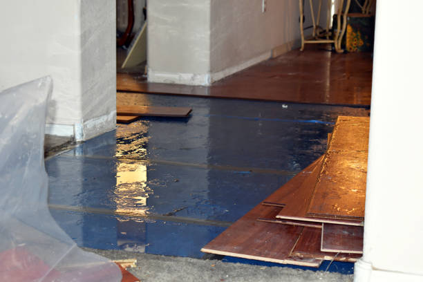 Professional Water Extraction technician working in Nova, OH